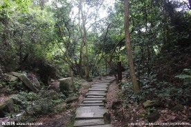 山间小路