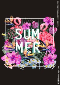 植物花卉火烈鸟矢量图下载