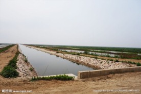 基本农田上水线