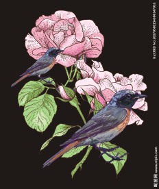 植物花卉花鸟矢量图下载