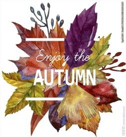 树叶字母矢量图下载