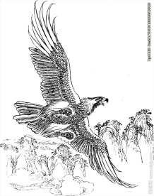 翱翔老鹰矢量图下载