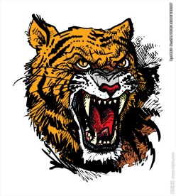 老虎头矢量图下载
