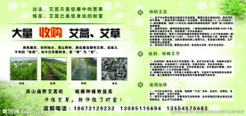收购艾叶墙面广告