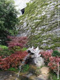 龙吐水