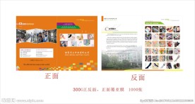 袜子画册 画册封面设计
