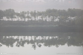 雾色水池塘