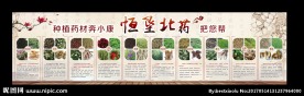 药材展板