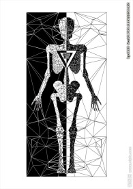 人体骨骼素材下载线条排列矢量图