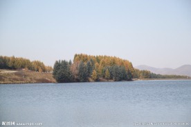 塞罕坝