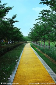 风景道路