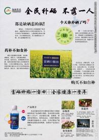 大米肥料农产品宣传单页 海报