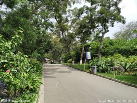 公园道路