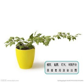 植物墙 盆栽 盆景