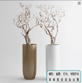 植物墙 盆栽 盆景