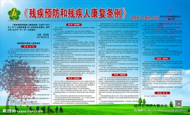 残疾预防和残疾人康复条例