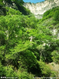 八泉峡