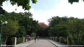 公园入口