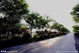 路边风景