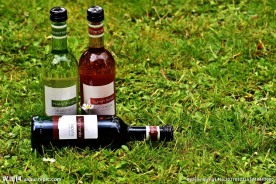 葡萄酒酒瓶图片
