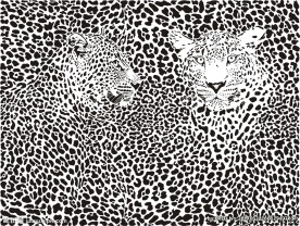 豹纹矢量图下载豹子矢量图下载