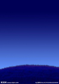 黑夜草地