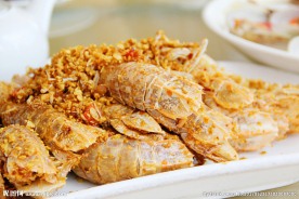濑尿虾