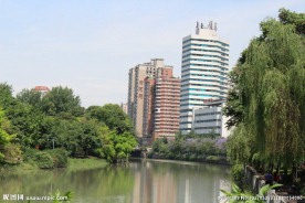 绿树环绕的城市