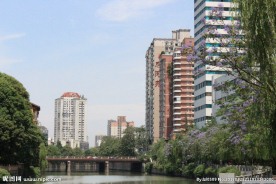 美丽的城市