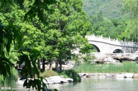 夏日植物园