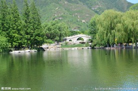 夏日植物园
