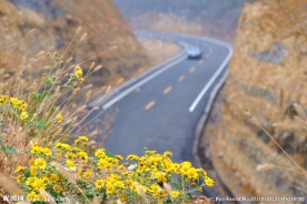 旅游公路