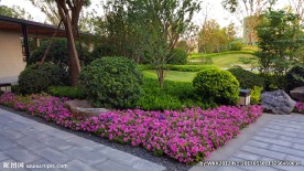 园林景观 售楼部 售楼部景观