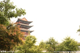 杨家埠