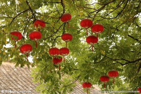 杨家埠