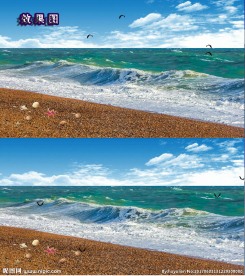 蓝天白云大海流水雁飞翔视频
