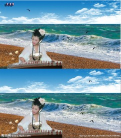 蓝天白云大海流水雁飞翔美女弹琴
