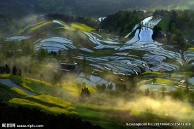 田园风光