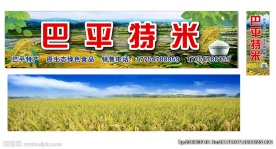 巴平 大米