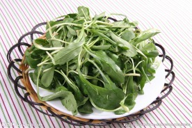 马兰头