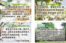 树木介绍牌