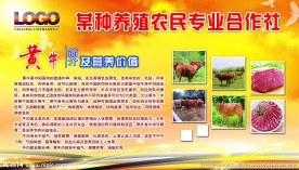 黄牛
