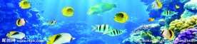 海底世界