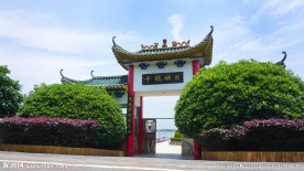 千龙映月