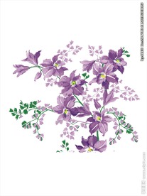 花朵花卉矢量图下载