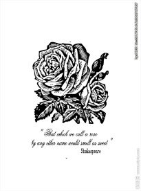 黑白玫瑰花矢量图下载