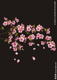 树枝花朵矢量图下载