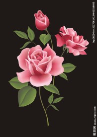 玫瑰花矢量图下载