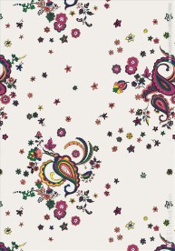 植物花朵花卉腰果花矢量图下载