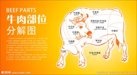 牛肉部位分解图